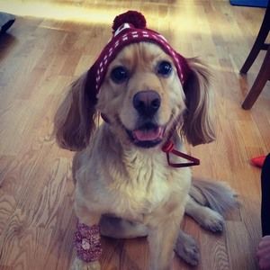 Meet your Posher, Bria